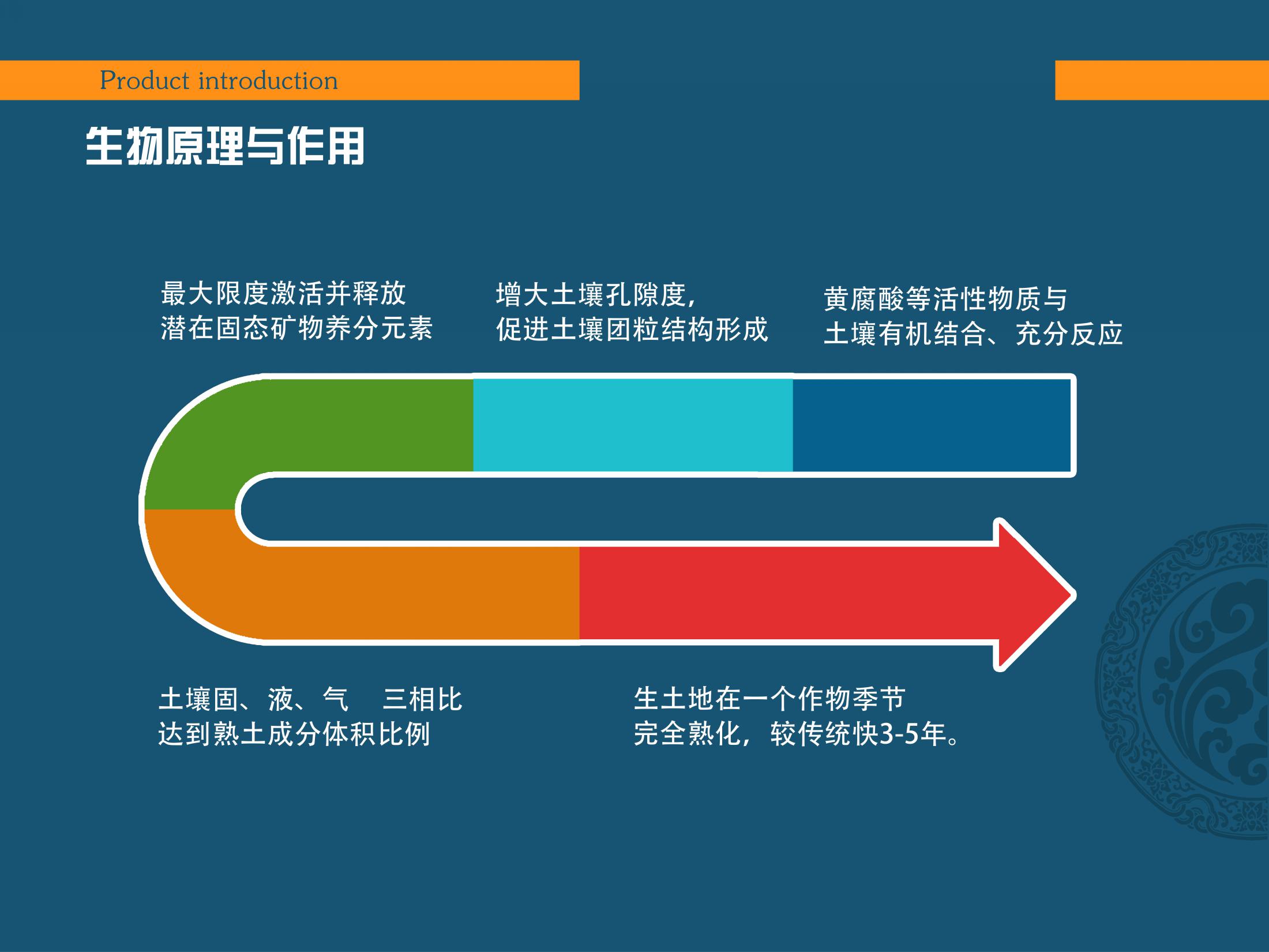 /ueditor/image/20240401/1711939640974773/a8c4cf331103536693cf1a871df11c9f.jpg 生物原理.jpg